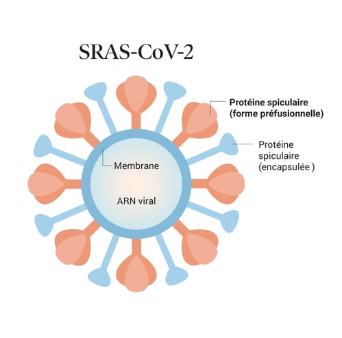 covid-19_vaccination_02-sarscov2_FR