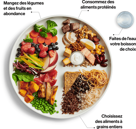 food_guide_visual_fr