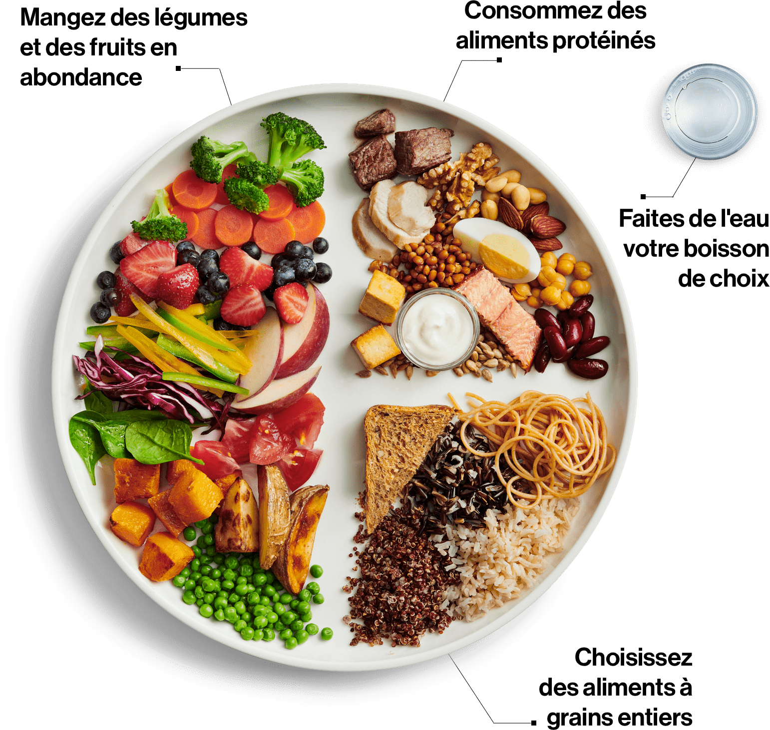 food_guide_visual_fr